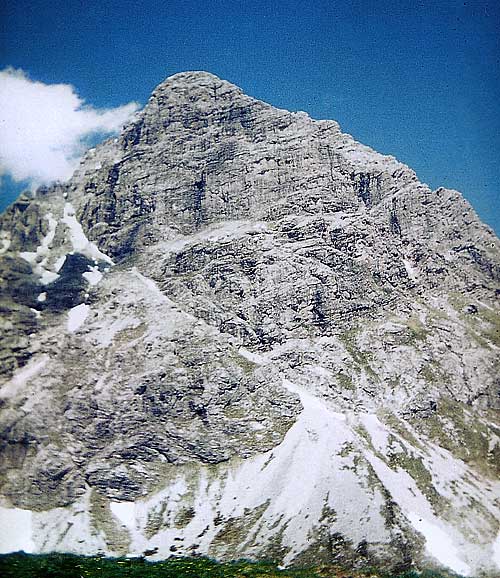 grosser_widderstein